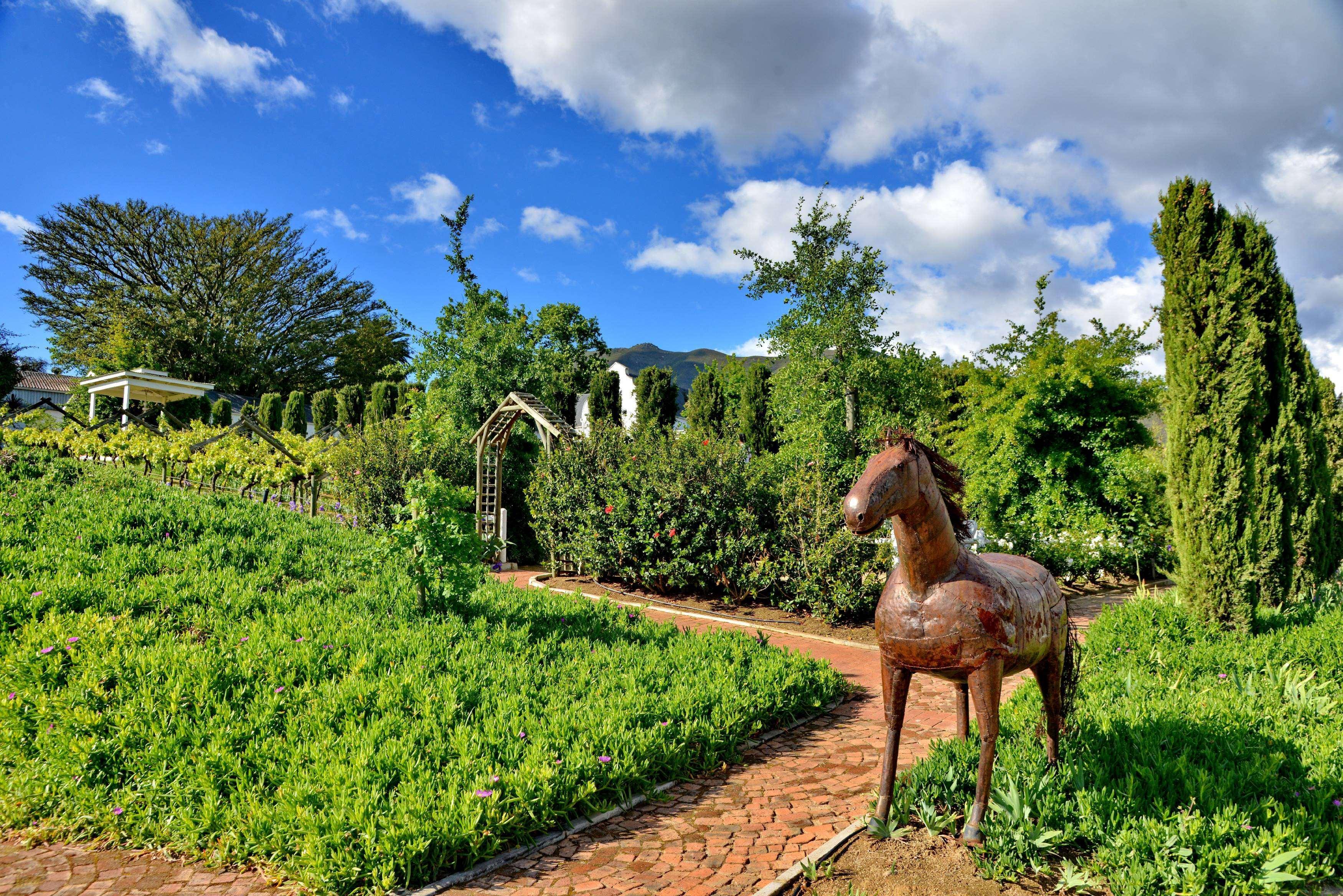 Val Du Charron Wine & Leisure Estate Hotel Wellington Buitenkant foto